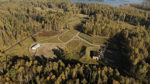 Drone Tilt Down above Autumn Forest Roads