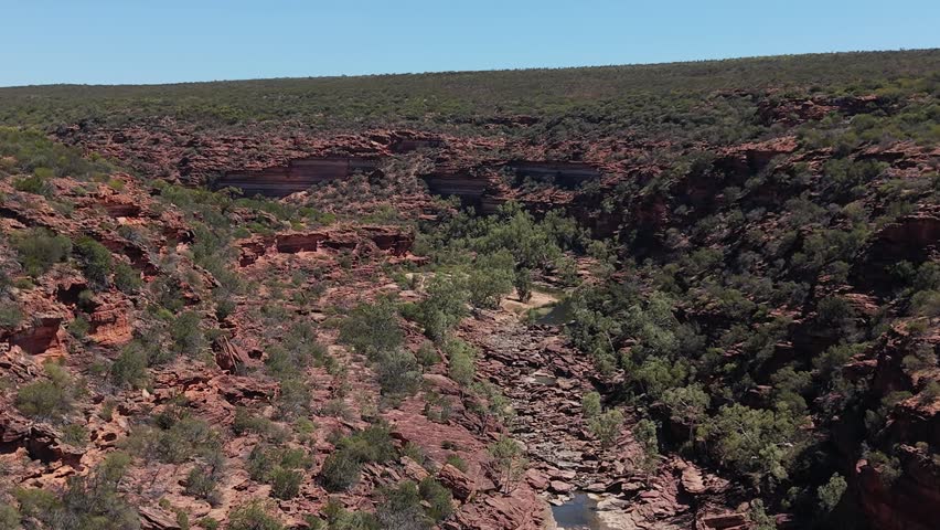 Aerial View of Z Bend Red Rock Canyon With Meandering Murchison River and Rugged Cliffs Under Clear Blue Sky, Kalbarri National Park, Western Australia.