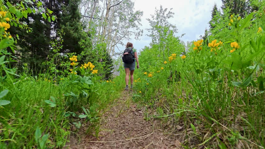 Following Woman Hiking Trail Through Yellow Flowers in Colorado Mountains