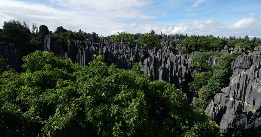 Panning shot captures breathtaking panorama of Major Stone Forest in Shilin, Yunnan. Lush trees on foreground and grey limestone pillars and sharp karst peaks resembling petrified forest around.