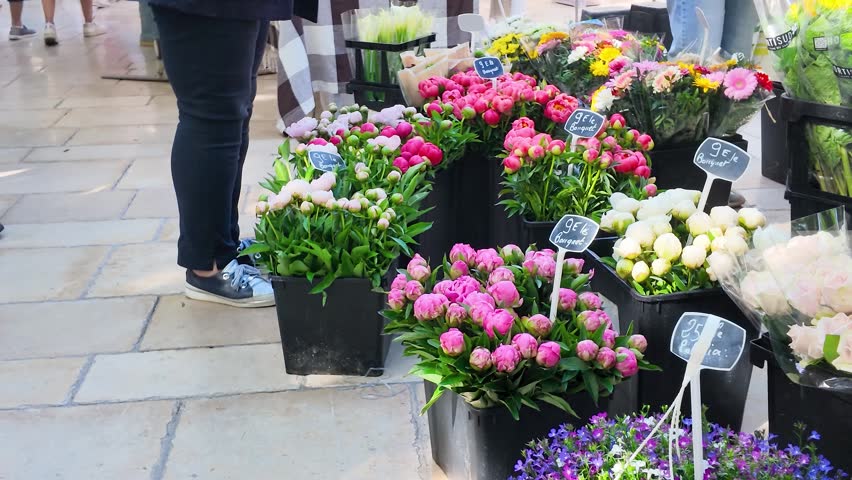 A slow panning shot across vibrant floral bouquets at an outdoor French market stall
