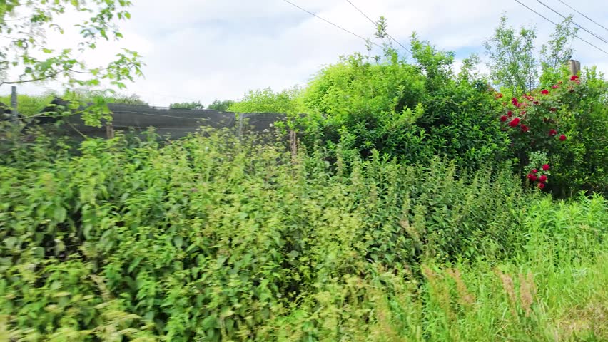 A handheld tracking shot reveals a traditional stone cottage with green shutters and overgrown vegetation