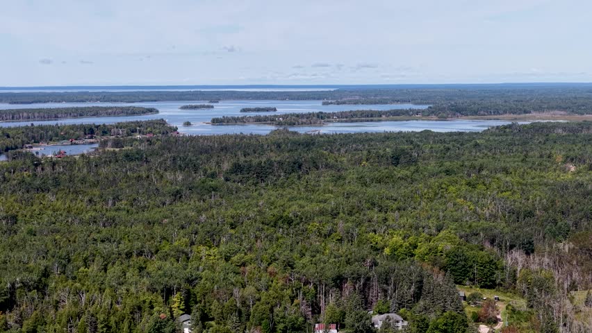 Drone footage capturing aerial view of dense forest and winding water channels leading into Lake Huron near Hessel, Michigan.