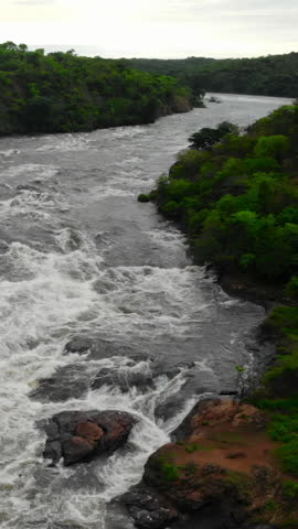 Dramatic Rainforest River Scene, Exciting Aerial Perspective Of Wild Rapids Amidst Dense Green Canopy. Media