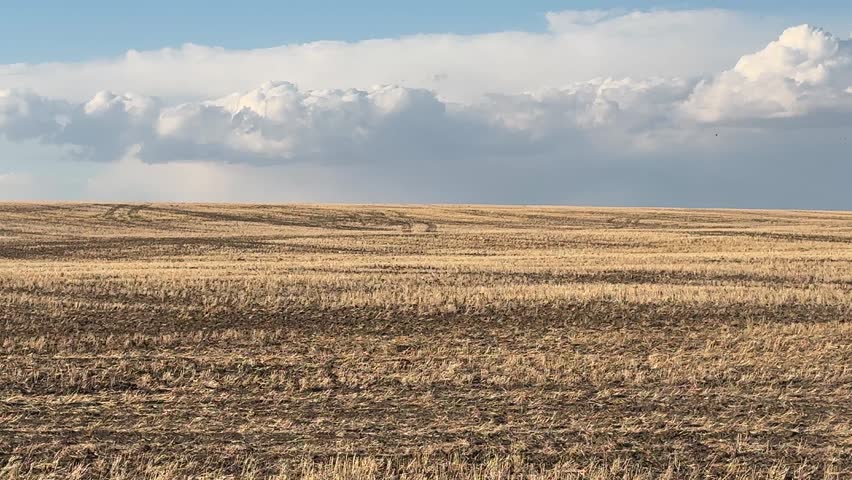 Scenic Rural Alberta Landscape with Open Prairie Countryside