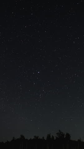 Time lapse of comet-shaped star trails over the forest in the night sky. Stars move around a polar star, vertical footage