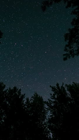 Time lapse of moving stars over a forest in the night sky. Starry night background. Epic video, vertical footage