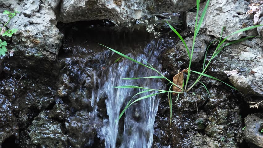Small Waterfall Flowing Over Rocks with Green Grass in a Natural Setting