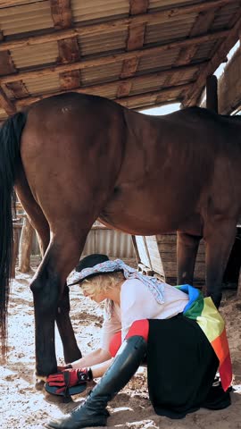 Horse care. a rider girl, with lgbt rainbow symbol, flag, cleans her brown beautiful horse with special brush. lgbt community. rainbow flag.