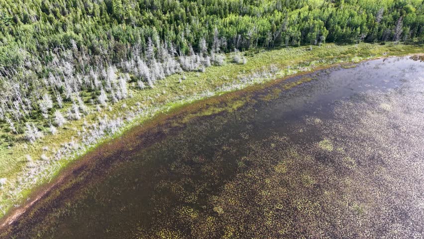 Aerial drone view of a curved shoreline along a lake in Michigan