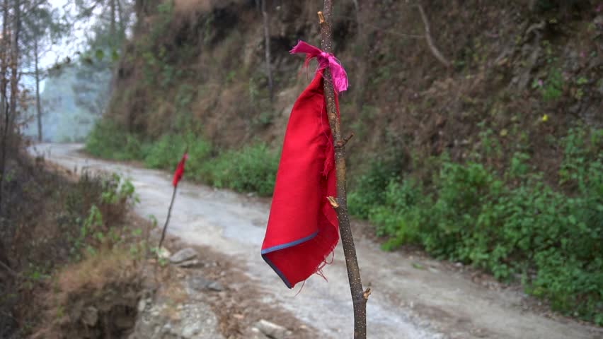 Close-up of a red cloth ribbon tied to a tree branch swinging in the wind by a rural road.