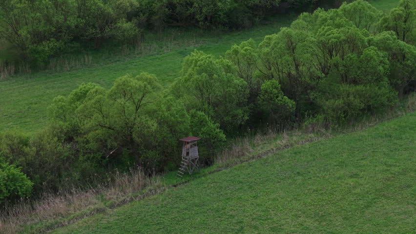 An aerial perspective captures a rustic wooden hunting high seat nestled at the edge of a lush green forest meadow.