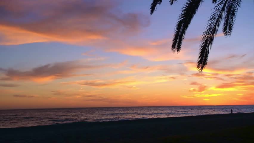 Palm trees against backdrop of sunset over sea. Golden pink sunset at sout Spain. Mediterranean Sea, Waves roll onto sandy beach