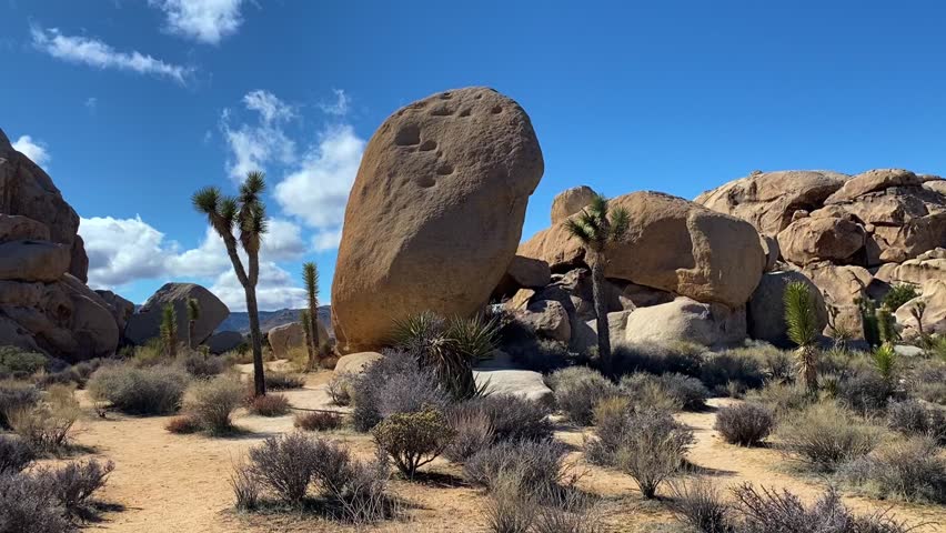 Smooth video moving along a hiker trail past giant rounded rock formations that defy gravity. Surrounded by Joshua trees and desert shrubs under a blue sky with white clouds. Fantastic scenery.