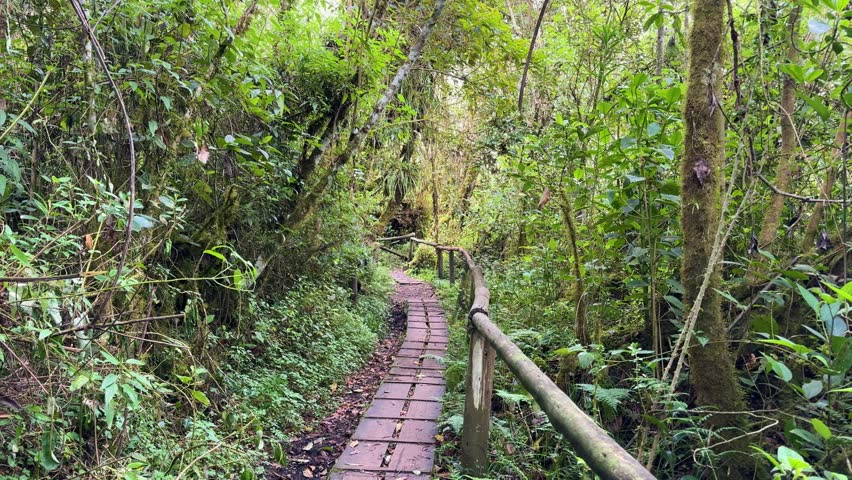 Beautiful National Park of Cajas in Cuenca, Ecuador