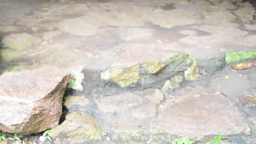 An Ancient Staircase and A Rock Cave at the Maligatenna (Maligathanna) Raja Maha Viharaya, Gampaha, Sri Lanka.