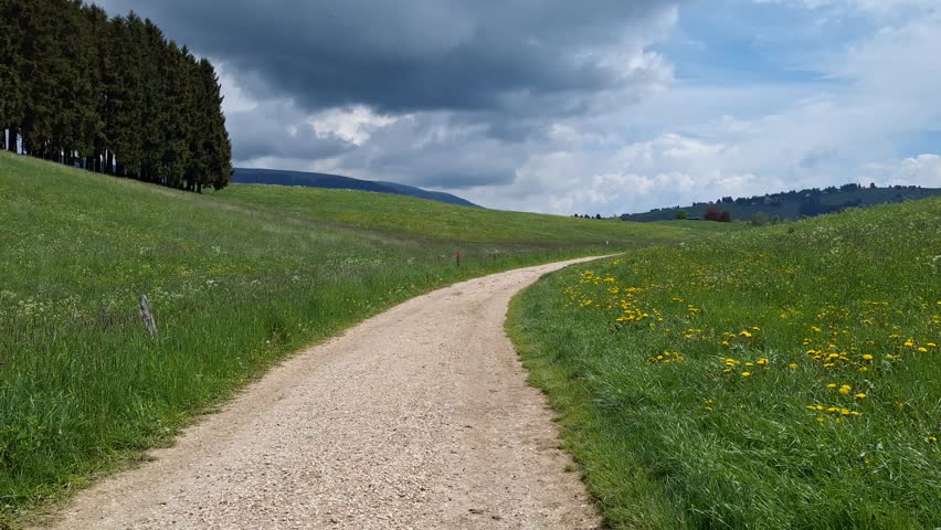 POV Walking Along Grassy Mountain Trail