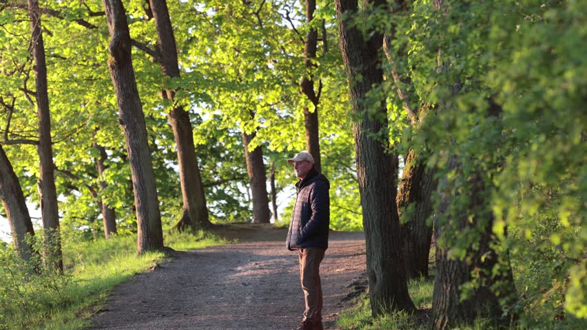 Stockholm, Sweden A man walks on a wooded path in the early morning on Langholmen island, a local waterfront park. 