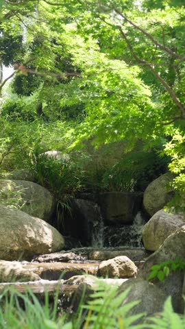 A slow-motion shot of the water glistening in the afternoon sun and the fresh green maple leaves. Focus on the waterfall. Included the sound of flowing water and birdsong.