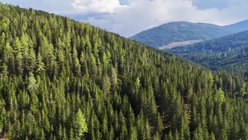 Aerial view of dense coniferous forest covering steep mountain slopes under a cloudy sky Murau, Styria, Austria.