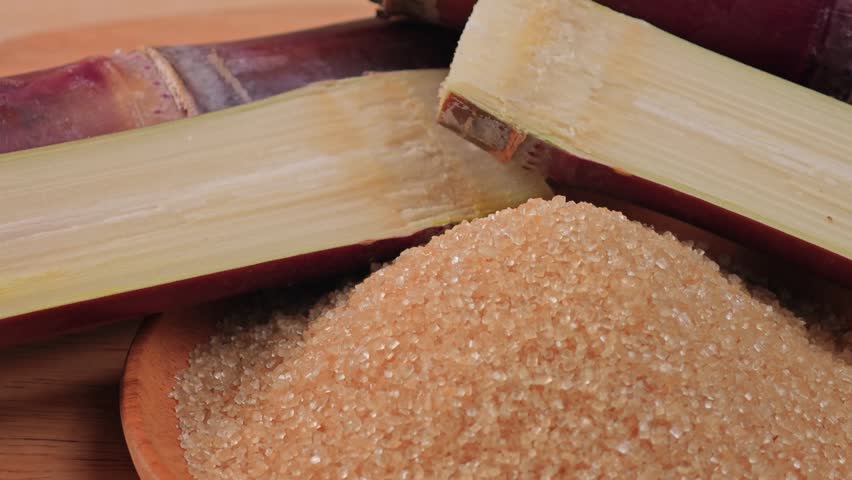 Brown sugar with fresh sugar cane