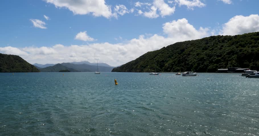 Picton harbor,New Zealand in a sunny summer day.