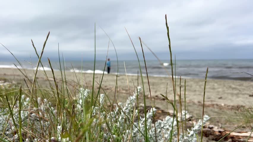 Blurred figure near Mediterranean shoreline in Corsica, France. Atmospheric beach scene with coastal grass, soft focus and calm seaside mood.