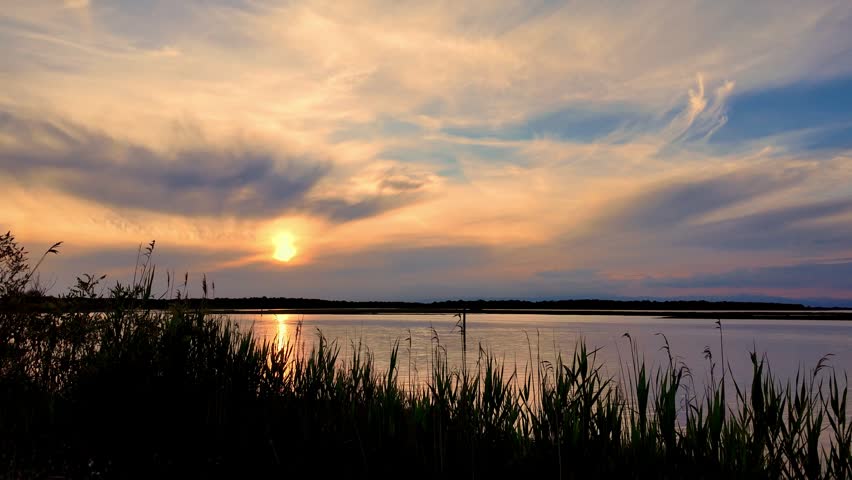 Romantic sunset over the Tagliamento estuary in Italy. Reed grass in the foreground is reflected in the calm water under a warm golden sky.