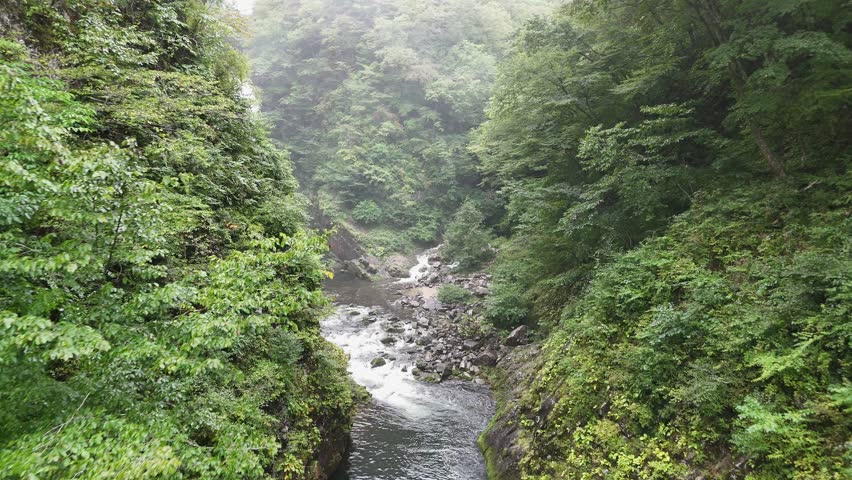 A breathtaking 4K aerial view of the Akiu Great Falls in Sendai, Miyagi, Japan. Surrounded by lush green forests, the powerful waterfall cascades down into the beautiful rocky gorge. Perfect for nature, travel, and environmental documentaries.
