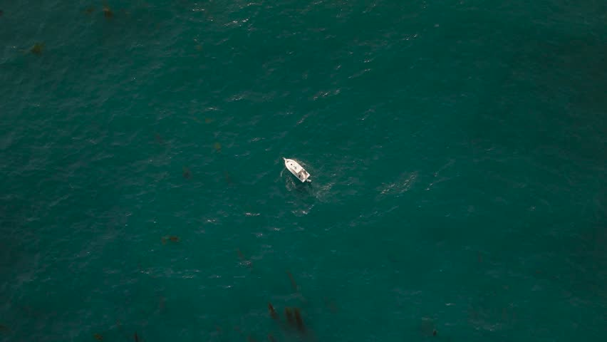 Aerial view of La Jolla Cove with a small white boat cruising through the turquoise waters of the Pacific Ocean in San Diego, California, United States.