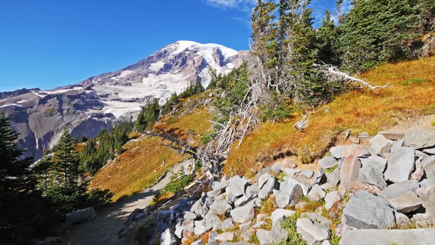 view of the rugged Skyline Trail winding through alpine meadows and rocky terrain toward the snow-capped summit of Mount Rainier.
