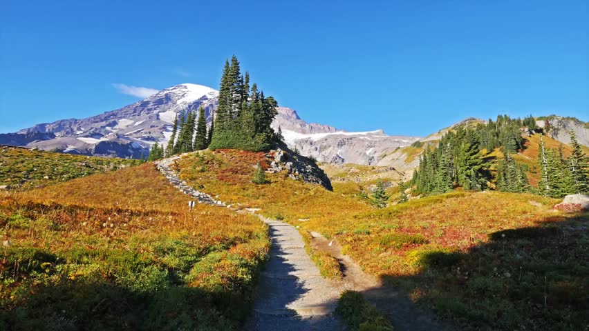panoramic view of Mount Rainier from the popular Skyline Trail to Panorama Point in the Paradise area of Mount Rainier National Park, Washington State, USA. The footage captures the vibrant autumn fal