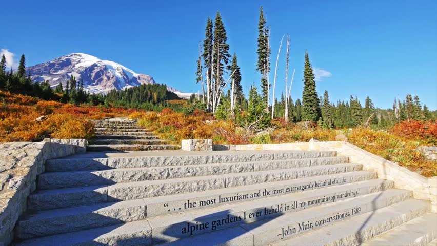 footage of Mount Rainier (Tahoma) towering over the vibrant autumn foliage and alpine meadows along the Skyline Trail in the Paradise area of Mount Rainier National Park, Washington State.