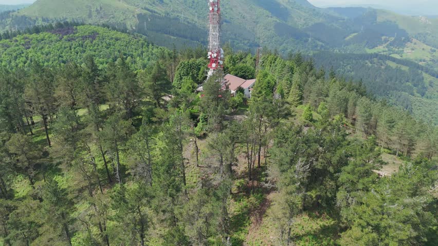 Heavy machinery operating in a dense pine forest, clearing trees for industrial purposes next to a communication antenna. Professional lumberjacks are working on deforestation and logging