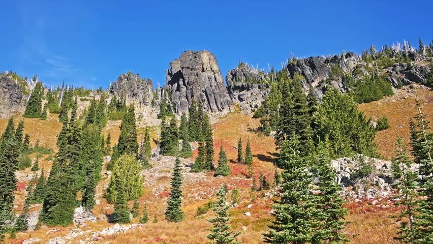 A beautiful, wide shot of the subalpine landscape along the Sheep Lake Trail, near the Sourdough Gap and Chinook Pass in Washington State. The scene captures dense evergreen trees interspersed with me