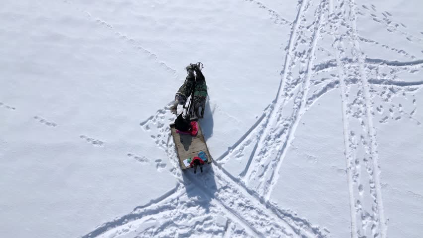 Extreme high angle drone tracking view of two horses pulling a rustic wooden carriage with a little child traveling through a wide snowfield on a bright winter day