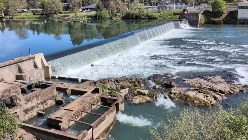 Video footage of roaring river rapids flowing past a dam and fish ladder in Roseburg, Oregon with rushing water sounds and scenic forest surroundings under blue skies.