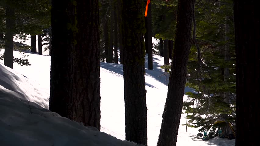 Shot of snowboarder sliding down the hill through the trees