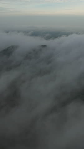 Clouds drift over the forest in a beautiful and refreshing natural setting.