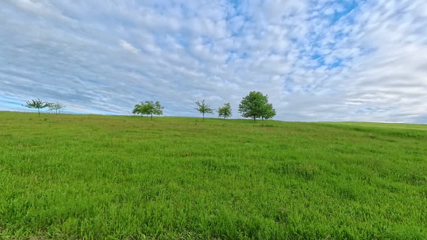 Idyllic summer landscape with a walking path next to a green field under a cloudy blue sky