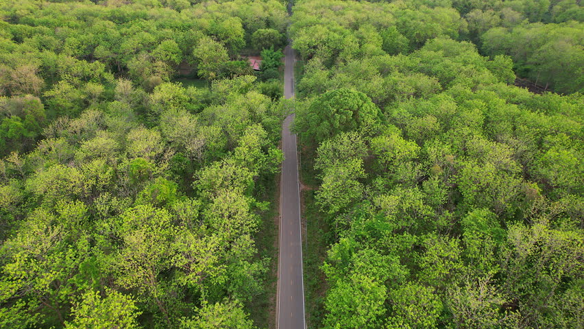 A long road winding through lush, verdant forest.