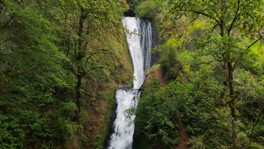 Waterfall cascading through lush green forest surrounded by dense vegetation and rocky cliffs, Bridal Veil Falls Oregon