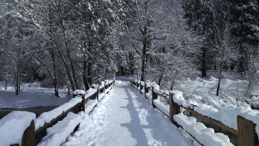 Snowy bridge path in Yosemite National Park, frosted forest, solitary hiker in dark jacket walks away leaving footprints, wooden railings capped with fresh snow, serene bluehour light