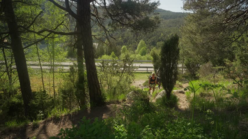 Couple of young hikers begin their forest trail adventure, gradually walking uphill through nature with a scenic road visible in the background.
