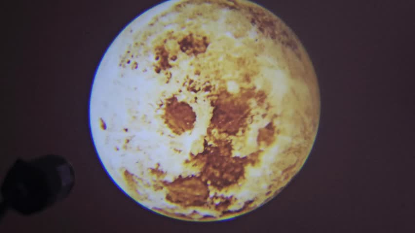 a decorative projection of a planet, such as a Venus globe, The image depicts a global view of the surface of a planet, with features resembling radar mosaics of Venus
