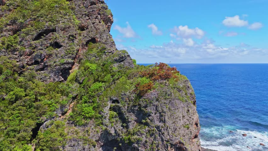 Lush green cliffs and rugged coastline of Samaná peninsula in Dominican Republic. Aerial drone view