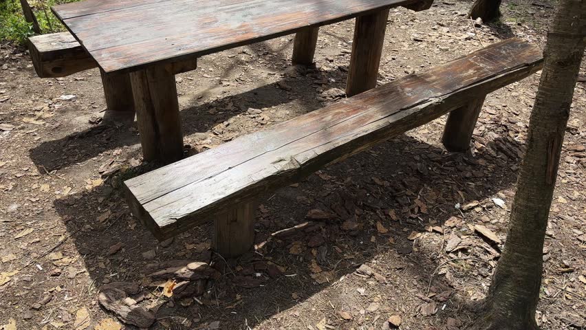 Old rough-hewn picnic wooden table with legs of solid logs and the same massive benches in the recreation area in a forest in sunny day, view while moving down

