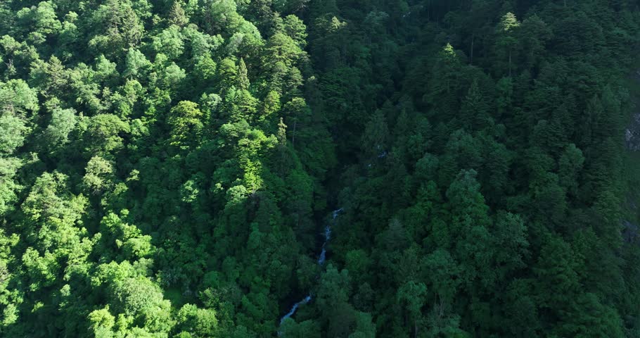 Aerial footage of beautiful high altitude forest and waterfall mountain landscape
