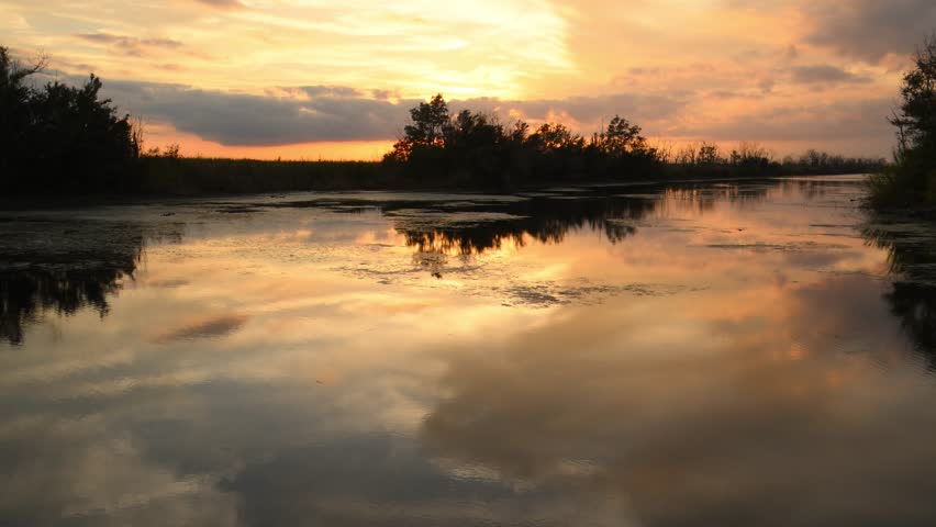 Louisiana, a flooded swamp forest in a wetland at sunset. Orange reflections of the setting sun shimmer on the water surface.