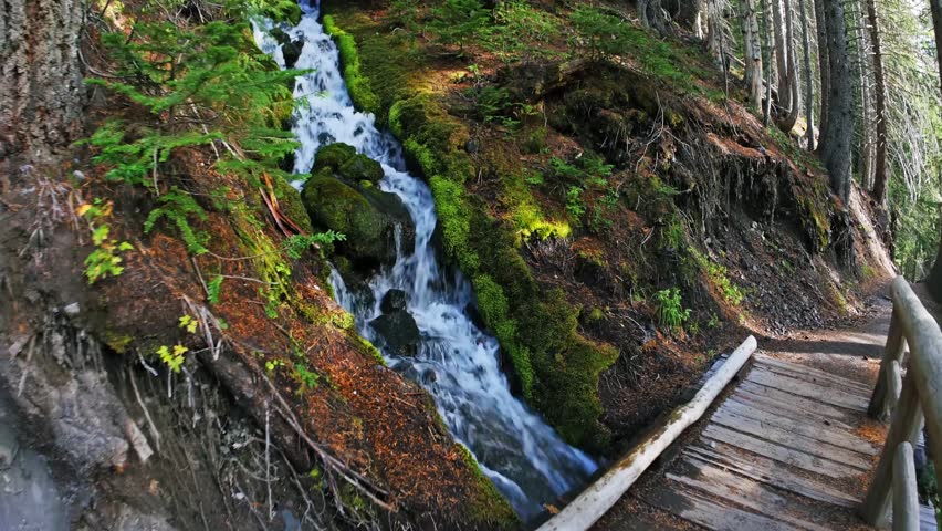 Footage of a tranquil stream and wooden boardwalk along the scenic Glacier Basin Trail in Mount Rainier National Park, Washington. The trail winds through lush old-growth forest, offering views of the